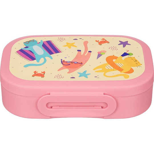 Контейнер пластик, 0.98 л, 18х13х5 см, розовый, прямоугольный, ланч-бокс, Пластишка, 431320605