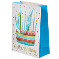 Пакет подарочный бумага, 18х8.5х24 см, в ассортименте, Happy Birthday, Y4-6724