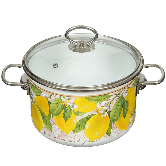 Кастрюля эмалированная сталь, 4 л, крышка стекло, Vitross, Limon, индукция