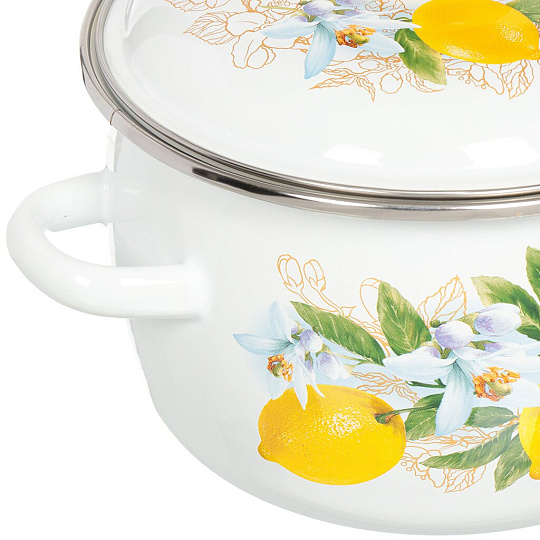 Набор посуды эмалированная сталь, 6 предметов, кастрюля 2 л, 3 л, 4 л, индукция, Сибирские товары, Лимоны 31, N31B97