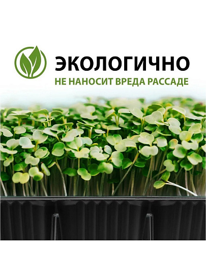 Кассета рассадная 5 шт, 180х135х60 мм, 6 ячеек, Скорая помощь