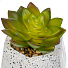Цветок искусственный декоративный Суккулент, в кашпо, 9х9х11 см, зеленый, Y4-6918 - фото 2