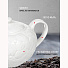Чайник заварочный керамика, 0.85 л, Листья, Y4-2738 - фото 5