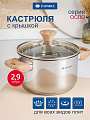 Кастрюля нержавеющая сталь, 2.9 л, крышка стекло, Daniks, Осло, GS-01147-18CA, индукция