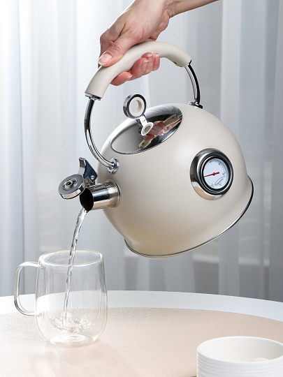 Чайник нерж, 3 л, со свист, нержавеющая сталь, с термометром, Daniks, GS-04436B