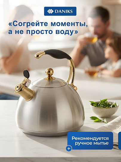 Чайник нержавеющая сталь, 3 л, со свистком, матовый, Daniks, Carezza, индукция, WT-T1054-B