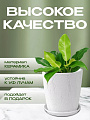 Горшок керамика, 0.9 л, 12х12 см, конус, белый, Короед №2, 004043 - фото 3