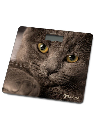 Весы напольные электронные, Sakura, SA-5065CT UltraSlim, стекло, до 180 кг, 30х30х1.8 см, Кошка