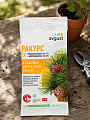 Фунгицид Ракурс, от болезней хвойных растений, 4 мл, Avgust