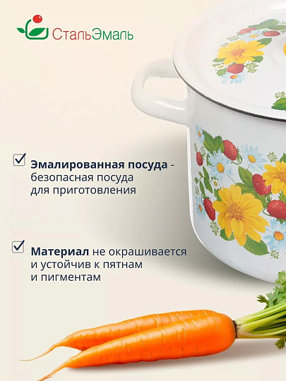 Кастрюля эмалированная сталь, 4.5 л, крышка сталь, СтальЭмаль, 1с17с, в ассортименте, индукция