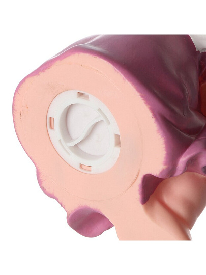 Копилка Девочка, 19х13х22 см, пластик, A240034