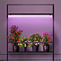 Светильник светодиодный для растений, 14 Вт, 220-240 В, IP20, Т5, Эра, FITO-14W-Т5-N, Б0045232 - фото 9