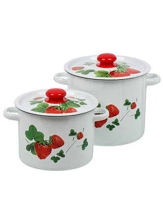 Набор посуды эмалированная сталь, 2 предмета, кастрюли 3.5, 5.5 л, индукция, Сибирские товары, Летняя ягода 20, N20B56
