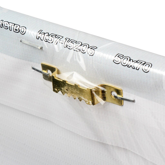 Картина холст, 50х70 см, Львиное единство, kt57-15206