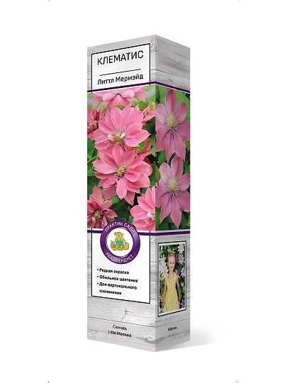 Саженцы Клематис крупноцветковый, Литтл Мермэйд, 751467
