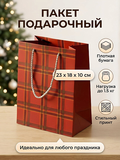 Пакет подарочный бумага, 18х10х23 см, в ассортименте, Клетка, Y4-13458