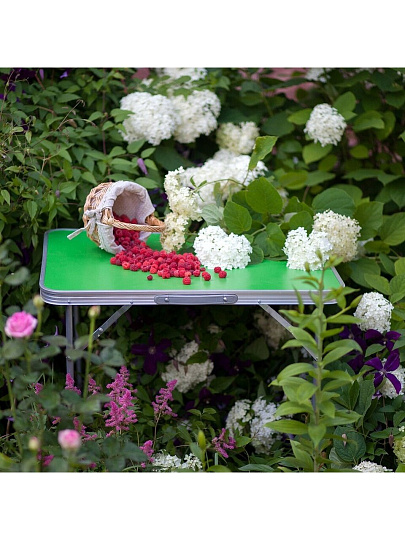 Стол складной металл, прямоугольный, 70х50х60 см, столешница МДФ, зеленый, Green Days