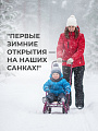 Санки Тимка 6 Универсал, Т6У/А2, переставная ручка, ремень безопасности, колеса на полозьях, 25 кг, амарантовый лак, Nika - фото 4