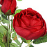 Цветок искусственный декоративный Ранункулюс, 60 см, бордовый, Y4-7961 - фото 2