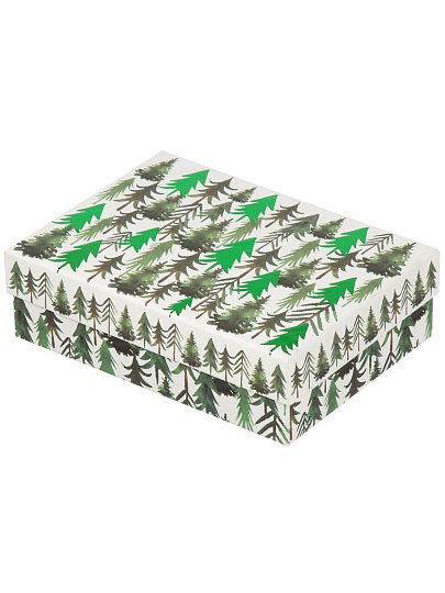 Коробка подарочная картон, 22х16х6.5 см, в ассортименте, Волшебный праздник, A470115