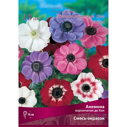 Анемона Де Каен, 7-8/К, 10 шт