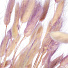 Цветок искусственный декоративный Сухоцветы, 55 см, фиолетовый, Y6-10404 - фото 2