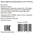 Пакет подарочный бумага, 31х12х40 см, в ассортименте, Домик, Y4-9536 - фото 4