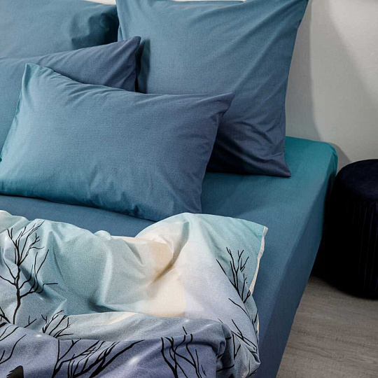 Постельное белье евро, простыня 215х240 см, 2 наволочки 70х70 см, пододеяльник 200х215 см, Ночь нежна, поплин, Черная птица