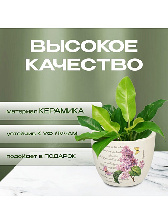 Кашпо керамика, 0.2 л, 6.5х8х8 см, в ассортименте, Цветы малый, Y3-1294/318492