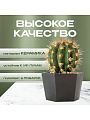 Кашпо керамика, 1.3 л, 15х11 см, шестигранник, черное, Эджес №3, 049737 - фото 2