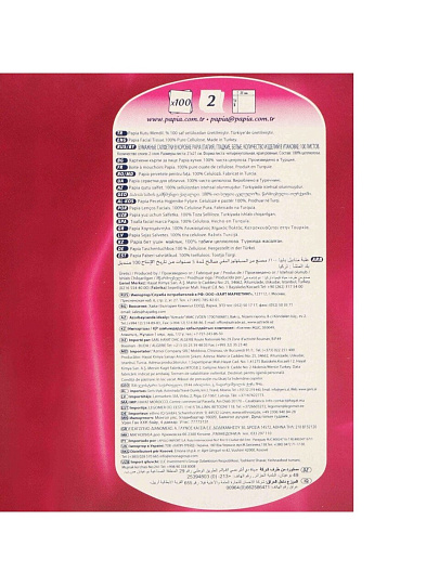 Салфетки бумажные Papia, для ухода за кожей лица, 100 шт, 2 слоя, 21х21 см, 5055478