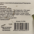 Цветок искусственный декоративный Ранункулюс, 60 см, бордовый, Y4-7961 - фото 3