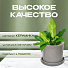 Кашпо керамика, 16х15.5 см, для цветов, светло-серое, Лидер №2, 4088 - фото 7