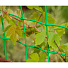 Сетка садовая для винограда, пластмасса, ячейка 95 х 90 мм, 100х1000 см, Ф-90/1/10 - фото 3