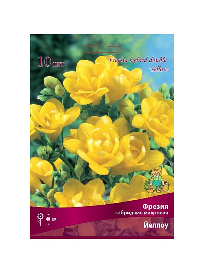 Луковицы Фрезия гибридная махровая, Йеллоу, 10 шт