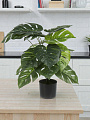 Цветок искусственный декоративный Монстера, в кашпо, 60 см, Y4-8805