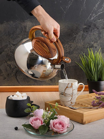 Чайник нержавеющая сталь, 3 л, со свистком, зеркальный, ручка бакелитовая в цвет дерева, Daniks, индукция, MSY-A010 -1