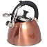 Чайник нержавеющая сталь, 3 л, со свистком, зеркальный, ручка с силиконовым покрытием, Daniks, индукция, бронзовый, MSY-069C - фото 3