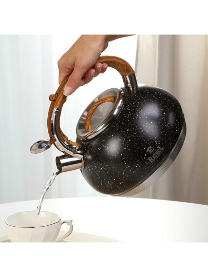 Чайник нержавеющая сталь, 3 л, со свистком, глянец, RasheL, индукция, черный, М-7908