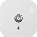 Розетка телевизионная пластик, IP20, белая, простая ОП F-разъем, Quel, Flos, 4202-0251-00105