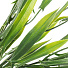 Цветок искусственный декоративный Ветвь, 37 см, зеленый, Y6-10373 - фото 2