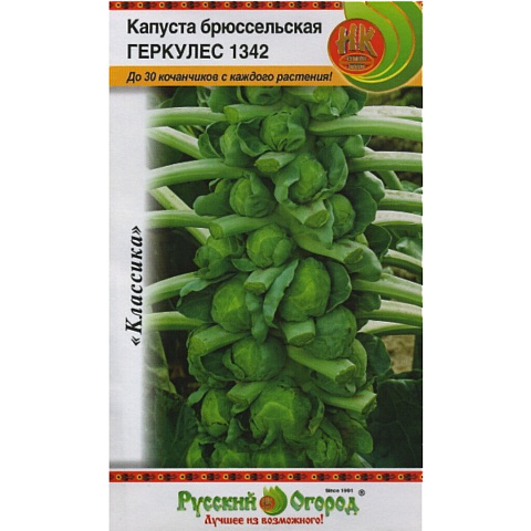 Семена Капуста брюссельская, Геркулес 1342, 0.5 г, цветная упаковка, Русский огород