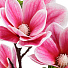 Цветок искусственный декоративный 93 см, розовый, Y4-5513 - фото 2