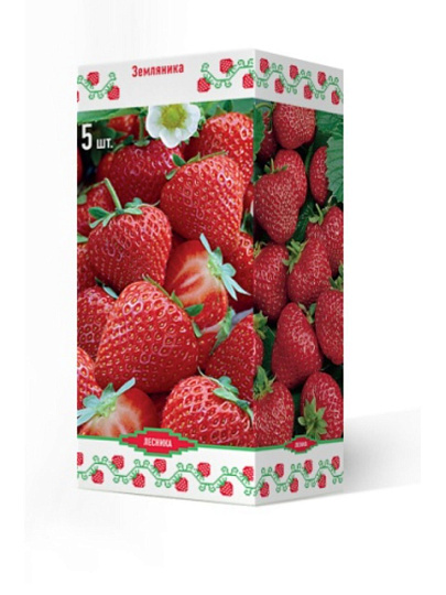 Саженцы Земляника садовая, Вивара, 5 шт, 824594