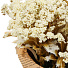 Цветок искусственный декоративный в кашпо, 15х7 см, белый, Y6-10378 - фото 3