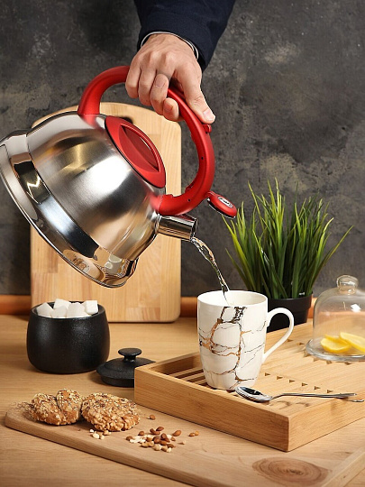 Чайник нержавеющая сталь, 2.8 л, со свистком, матовый, ручка с силиконовым покрытием, Daniks, красный, MSY-013R