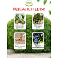Секатор для срезки цветов, веток, молодых побегов, 200 мм, Инструм-Агро, Цветочный, 010108 - фото 12
