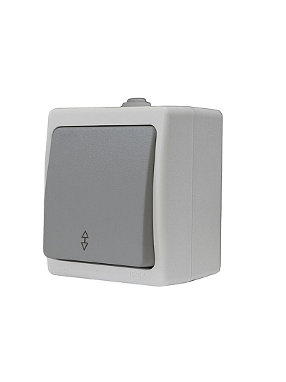 Выключатель открытой установки, одноклавишный, 10 А, ABS пластик, серый, проходной, UNIVersal, Аллегро, 1276