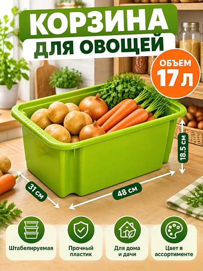 Корзина для овощей, 17 л, прямоугольная, пластик, в ассортименте, Martika, Джета, С728-00-КОЛ
