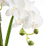 Цветок искусственный декоративный Орхидея в кашпо, 52 см, белый, Y4-7938 - фото 2